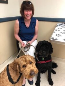Calli Prendergast at the vet with two cobberdogs